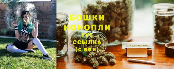 соль ск Арсеньев