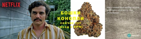скорость Алзамай
