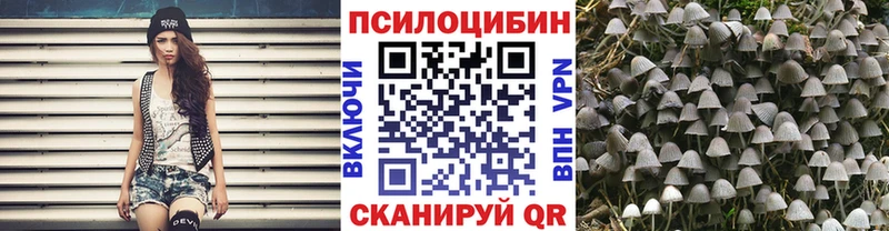 Псилоцибиновые грибы мухоморы  купить наркоту  Берёзовский 