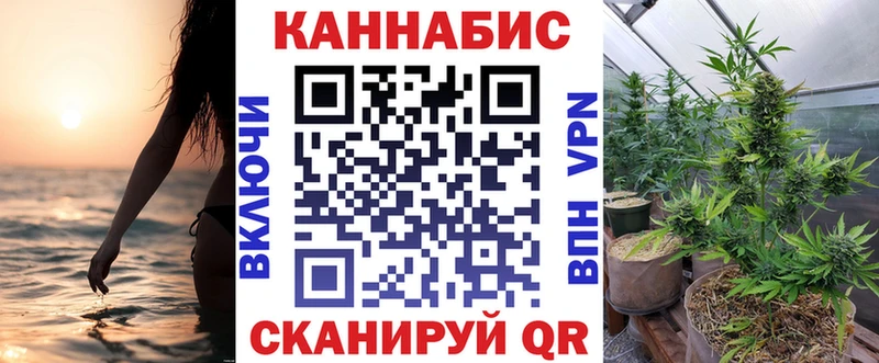 Канабис сатива Берёзовский